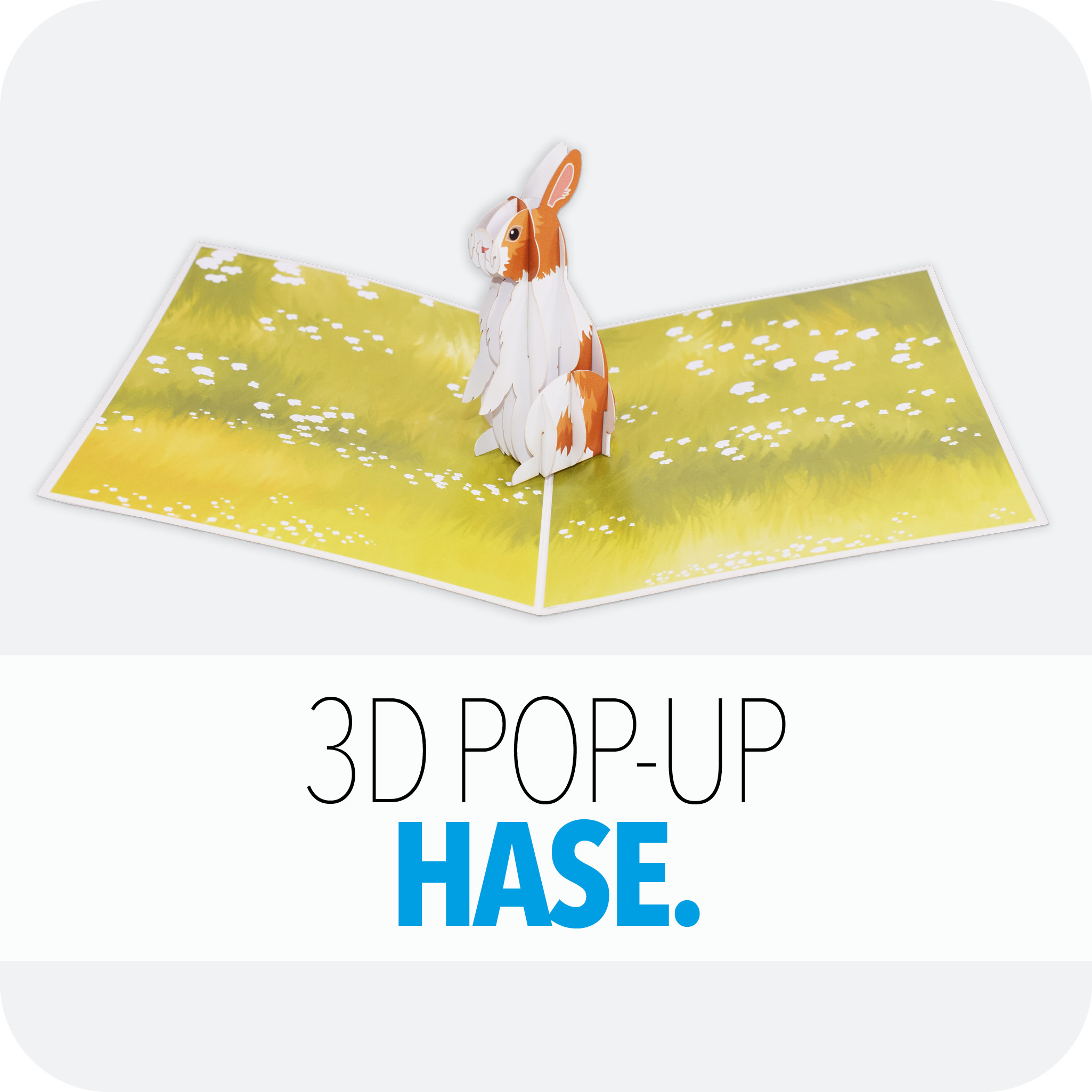 3D Pop-Up Karte Hase